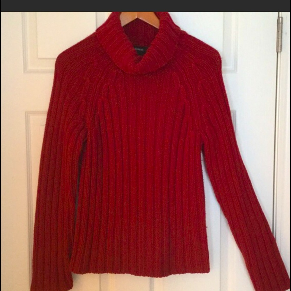 Express turtleneck sweater